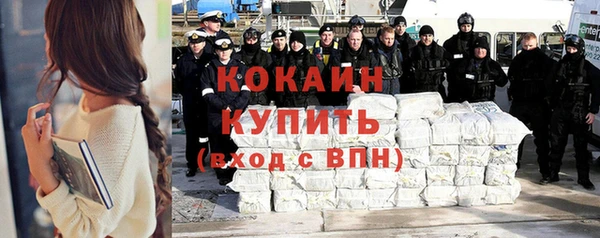 стаф Алзамай