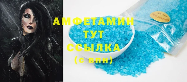 стаф Алзамай
