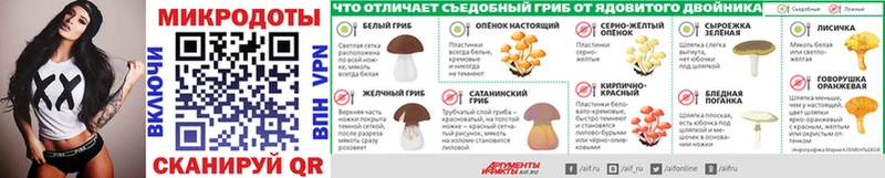 Галлюциногенные грибы мухоморы Бронницы